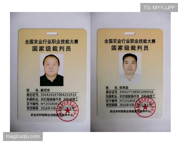 战术犯规的判罚依据与裁判取证要点