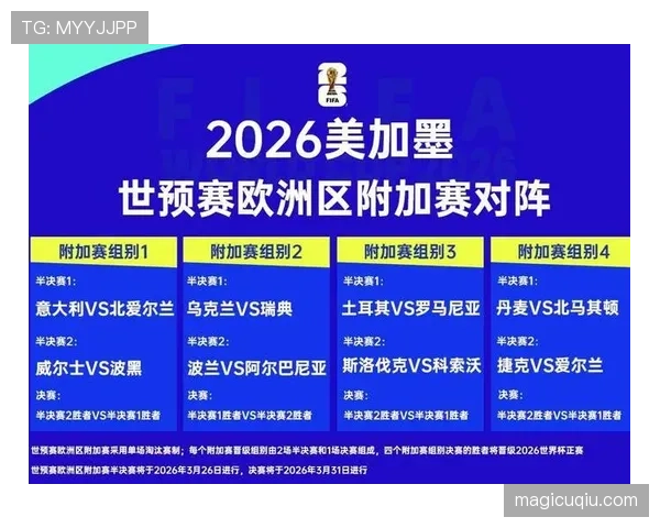 波黑冲击2026世界杯前景如何:预选赛出线形势与阵容分析 波黑冲击2026世界杯前景如何:预选赛出线形势与阵容分析