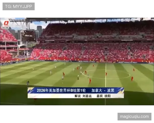 加拿大1-1波黑：世界杯小组赛首轮战报回顾