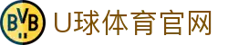 U球体育(Uqiu Sports)官方APP安装包下载